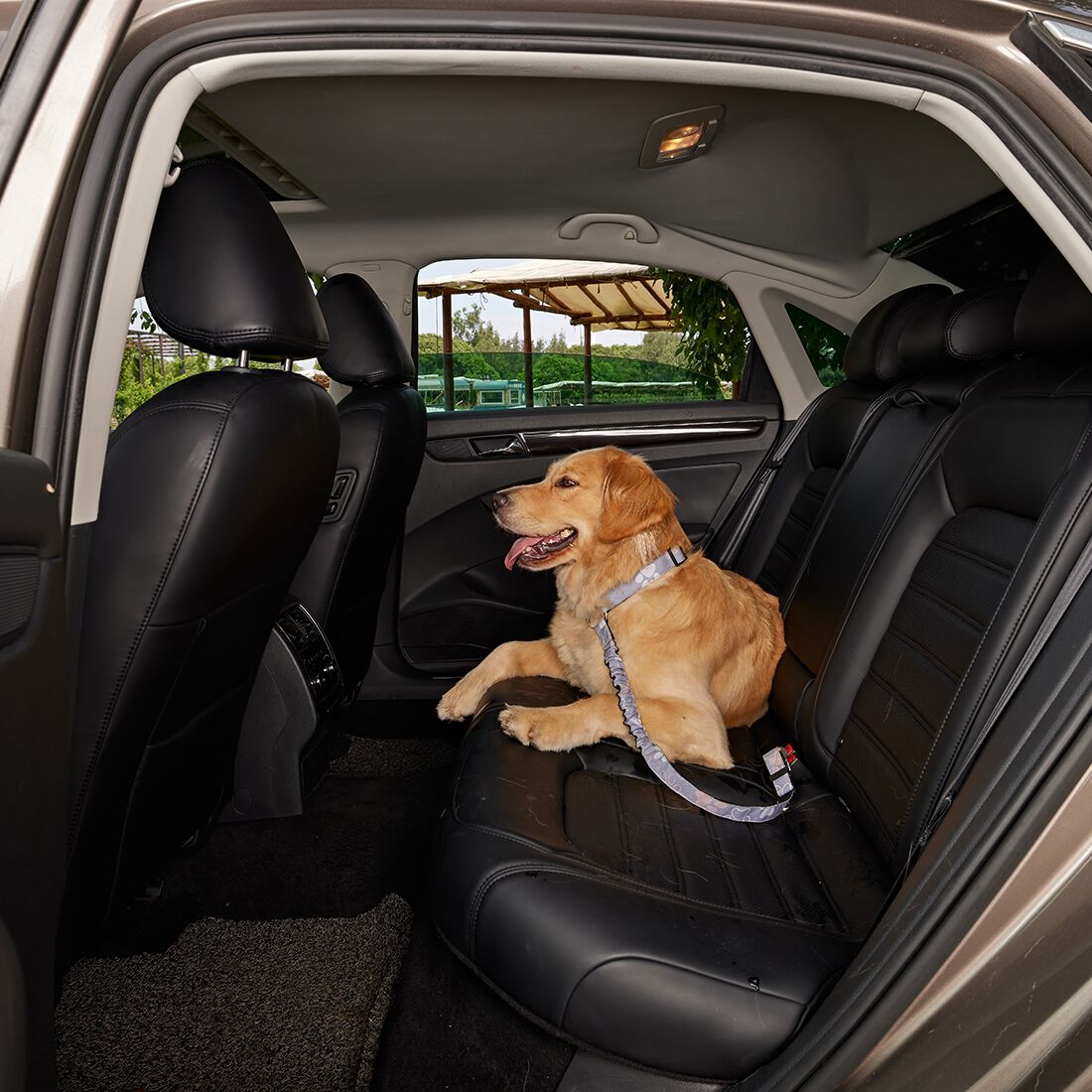 Cabin Crew Paw Print Headrest Lead Clip, , scaau_hi-res