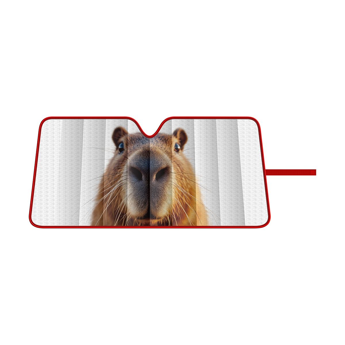 SCA Medium Bubble Front Sunshade Capybara, , scaau_hi-res