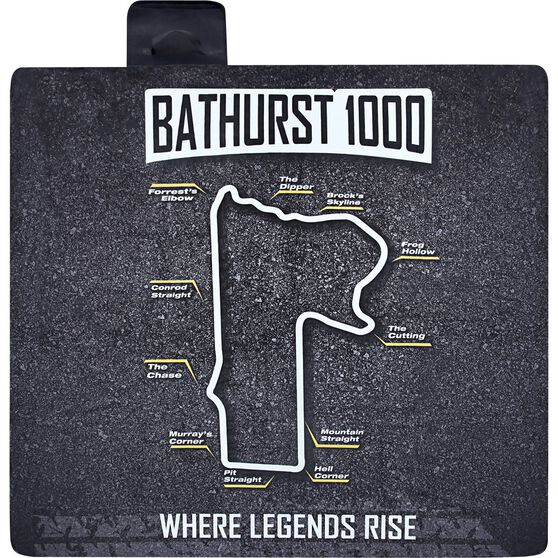 Supercheap auto picnic rug
