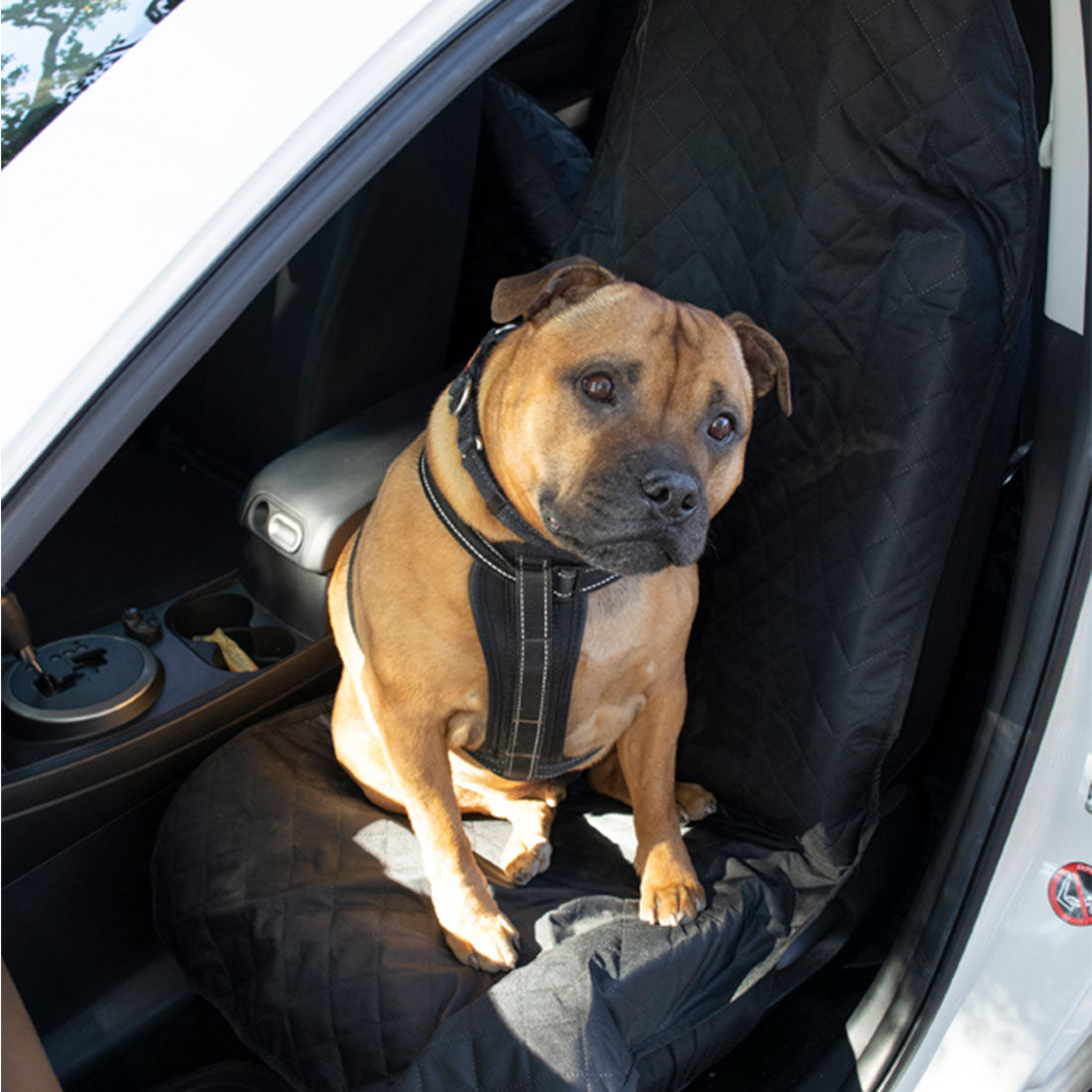 Supercheap auto pet seat cover outlet