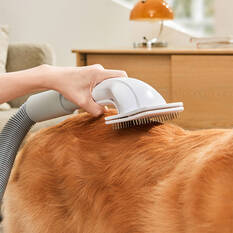 Cabin Crew Pet Grooming Dryer & Vacuum Cleaner, , scaau_hi-res