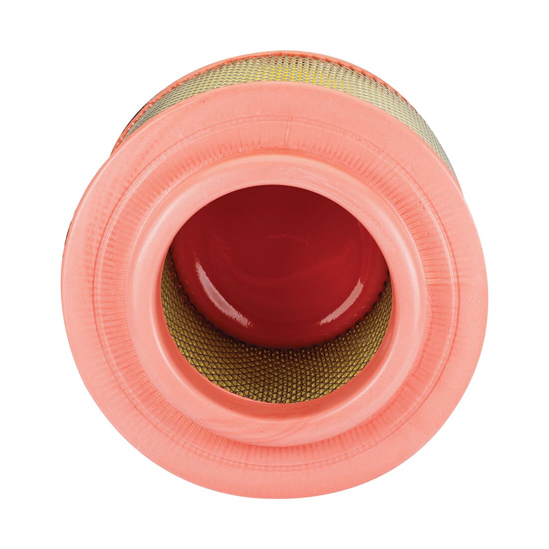 Penrite Air Filter PF3007 (Interchangeable with A1541), , scaau_hi-res