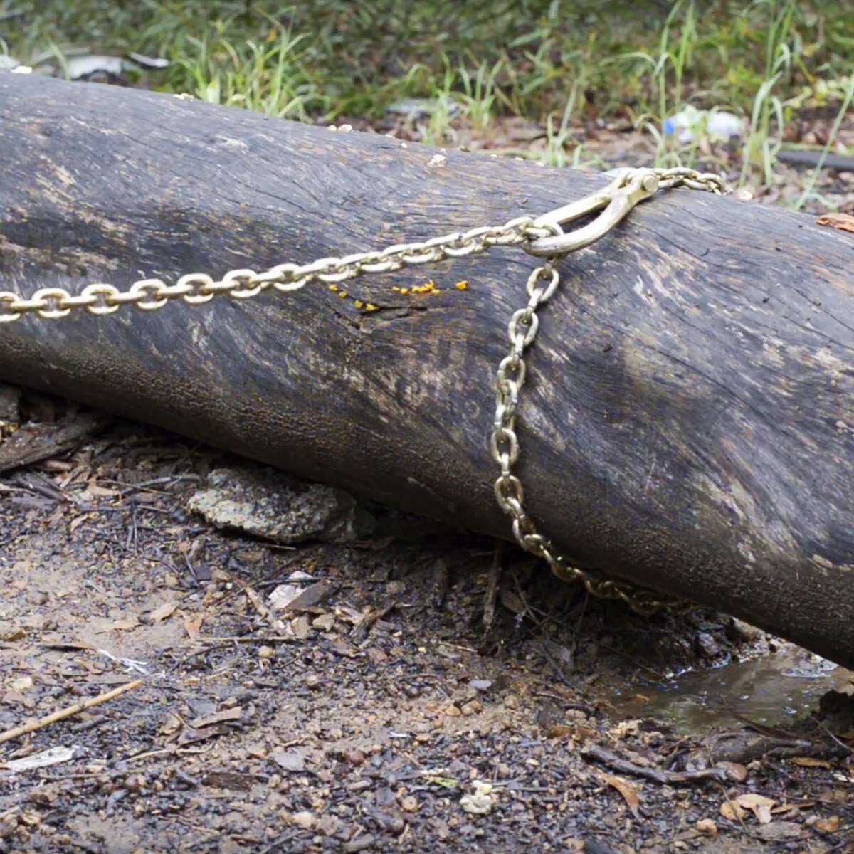 Ridge Ryder 4WD Drag Chain Kit, , scaau_hi-res