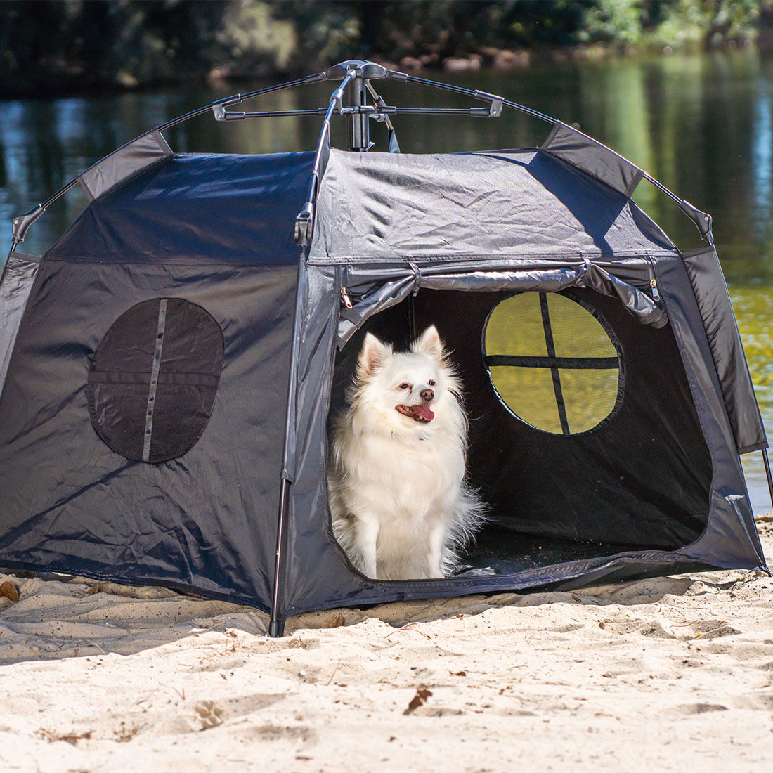 Pop Up Pet Tent, , scaau_hi-res