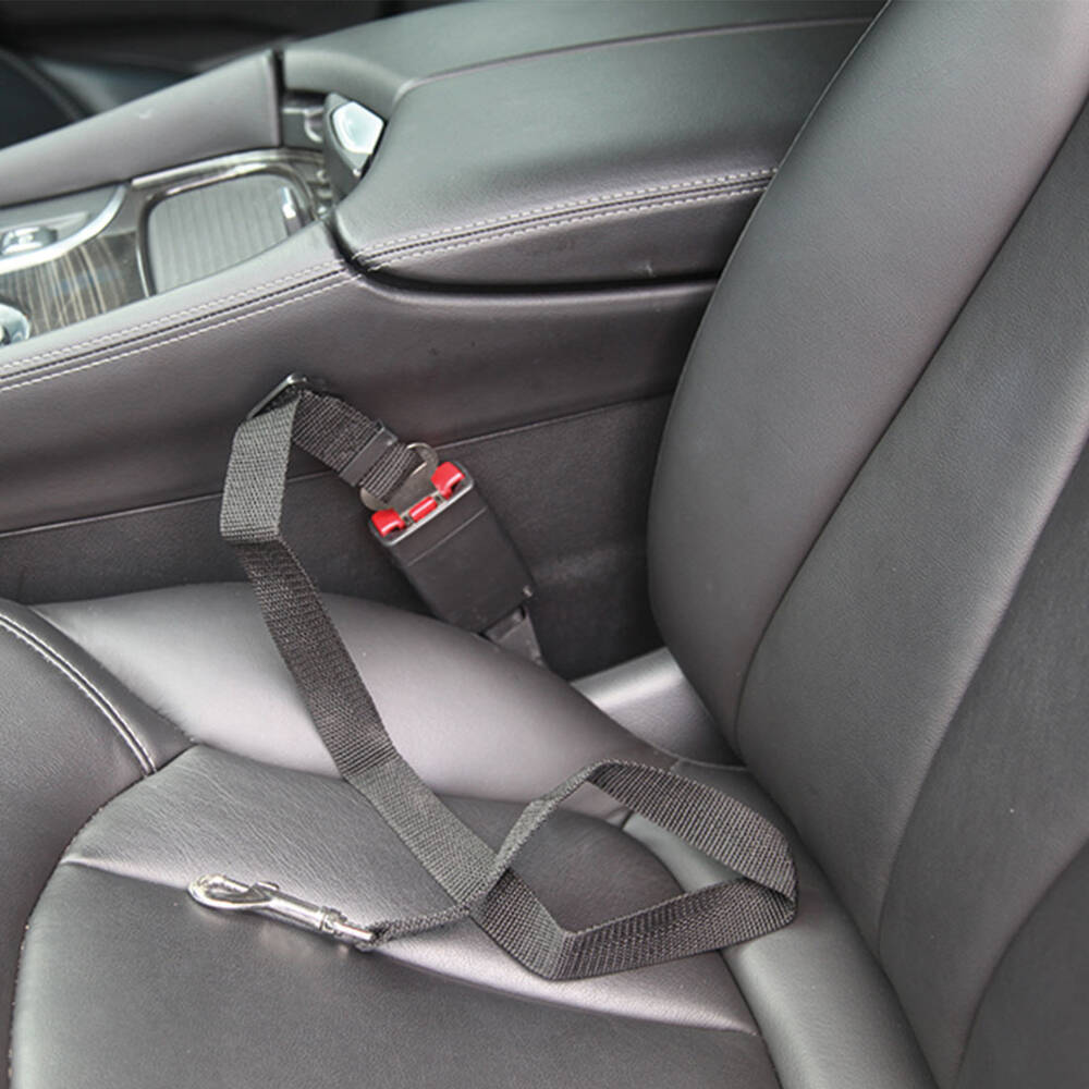 Baby Seat Buckle Lock Baby Seat Buckle Lock Hotsell - Main Image