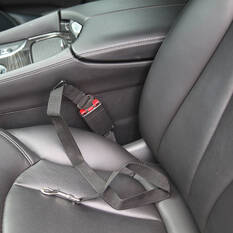 Cabin Crew Pets Seat Belt Harness, , scaau_hi-res