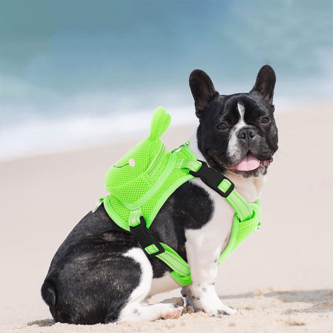 Harness Frog Supercheap Auto