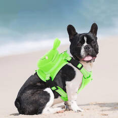 Harness Frog, , scaau_hi-res