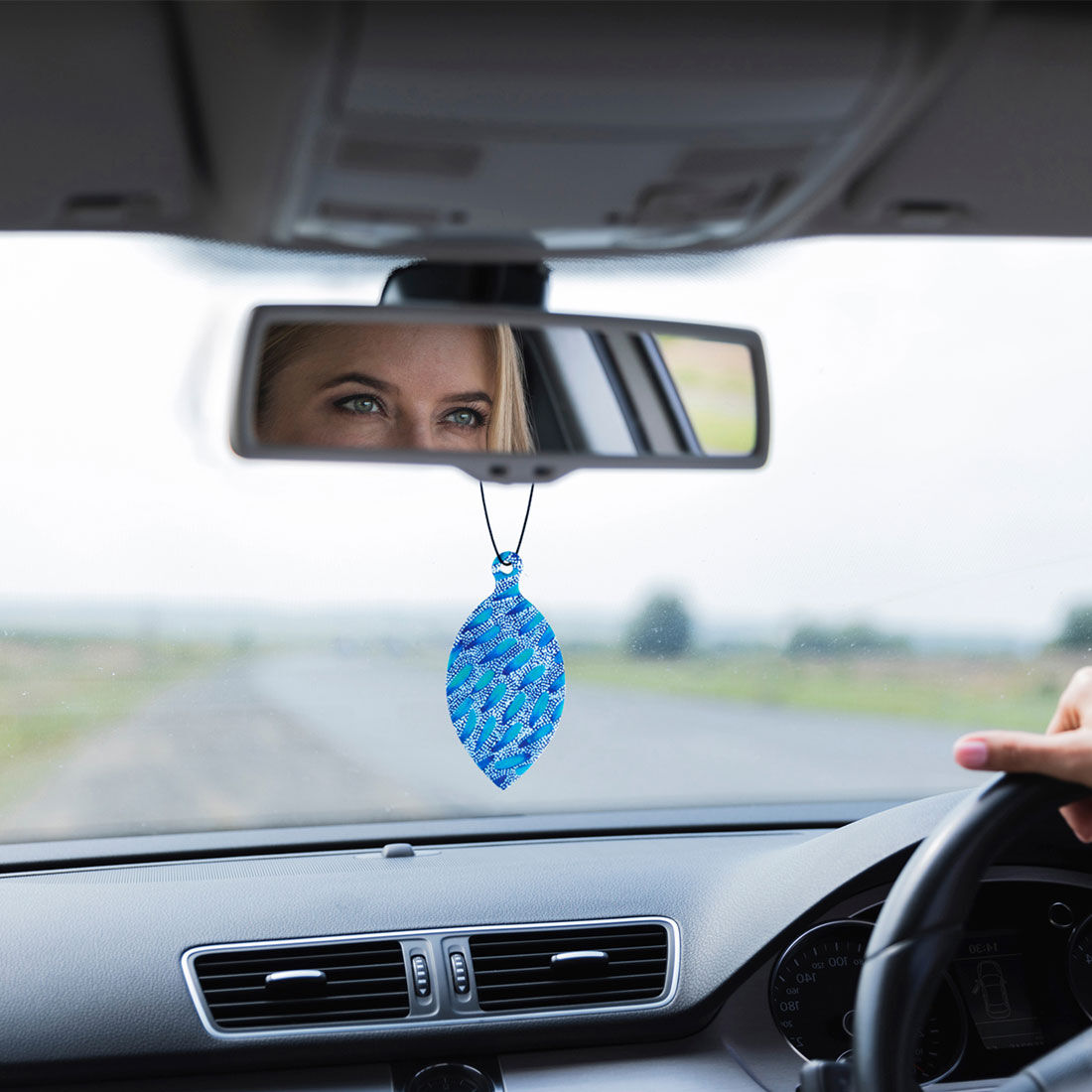 Snake Dreaming Air Freshener Leaf 2 Pack, , scaau_hi-res