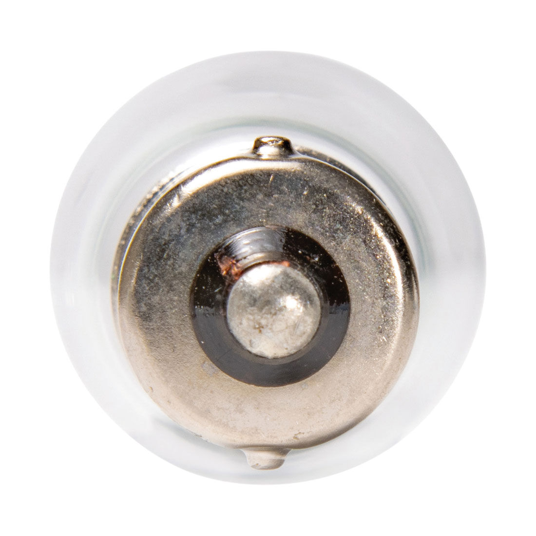 ENDURALIGHT Automotive Globes - Indicator/ Reverse 12V, 21W, BA15S, , scaau_hi-res