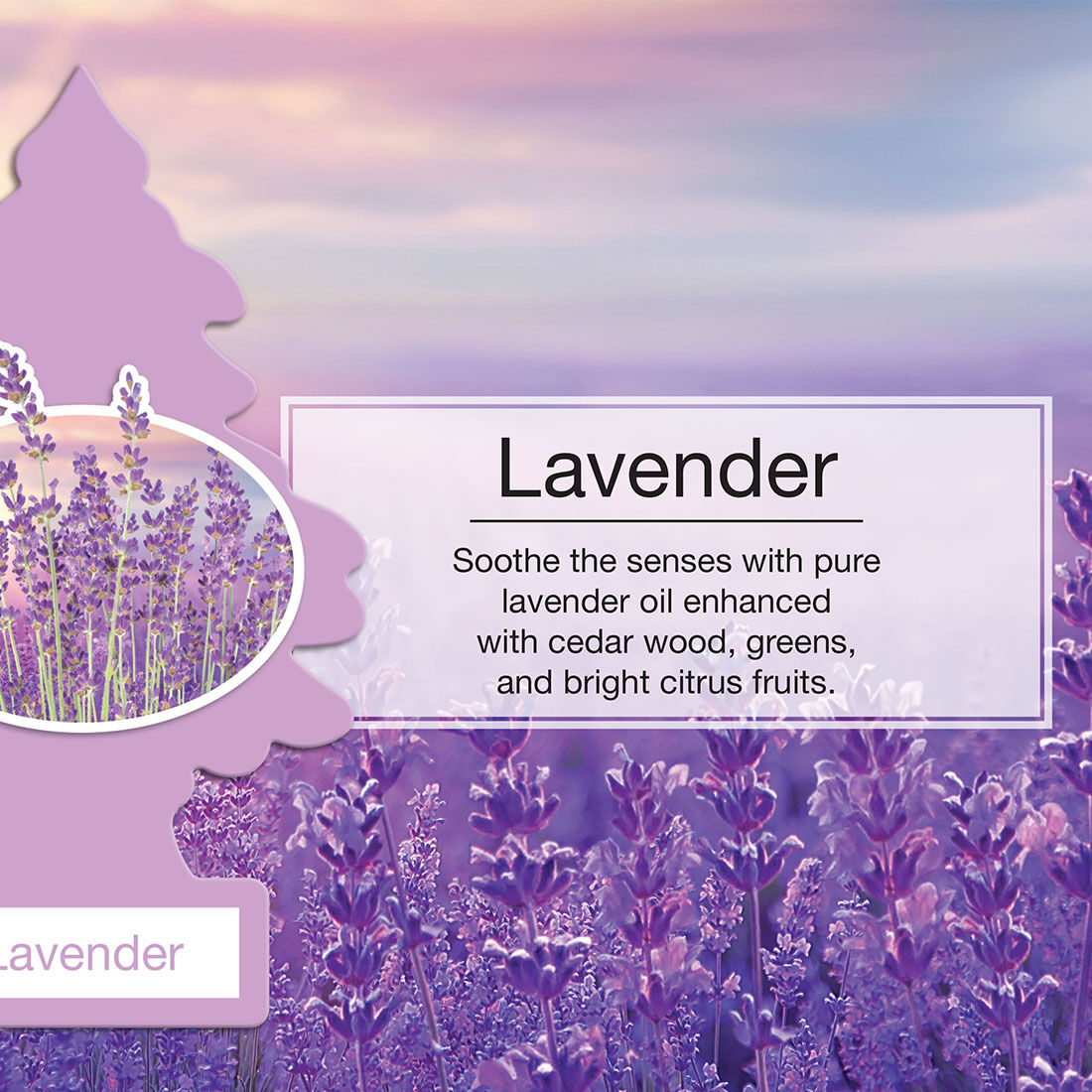Little Trees Air Freshener - Lavender 1 Pack, , scaau_hi-res