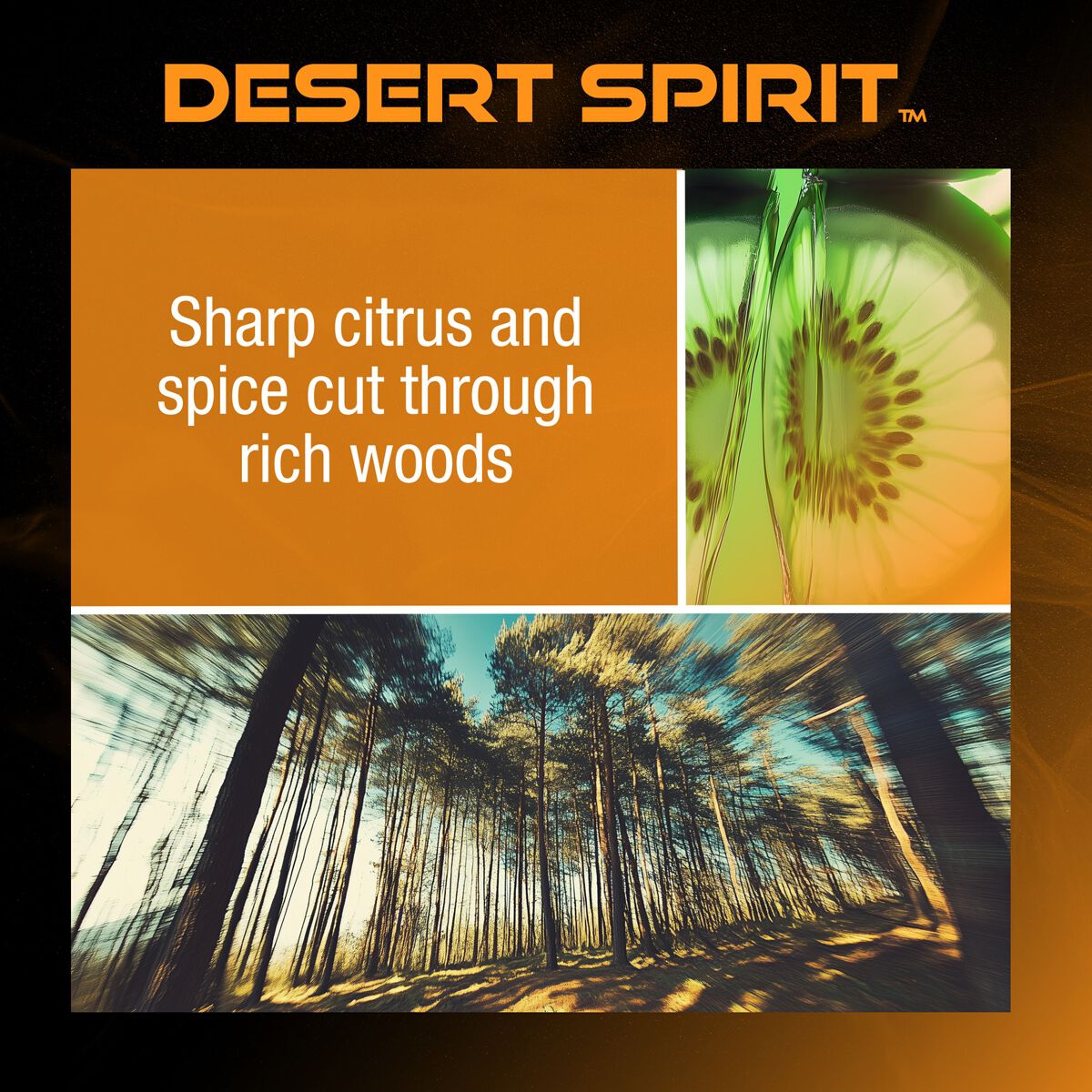 DRVN Desert Spirit Hanging Disc Air Freshener - 1 Pack, , scaau_hi-res