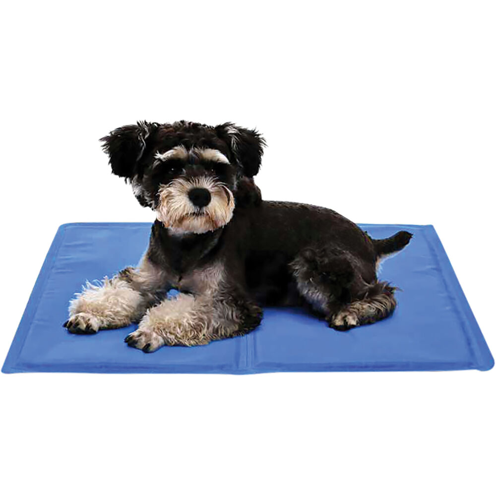 Cabin Crew Pets Cooling Mat Supercheap Auto