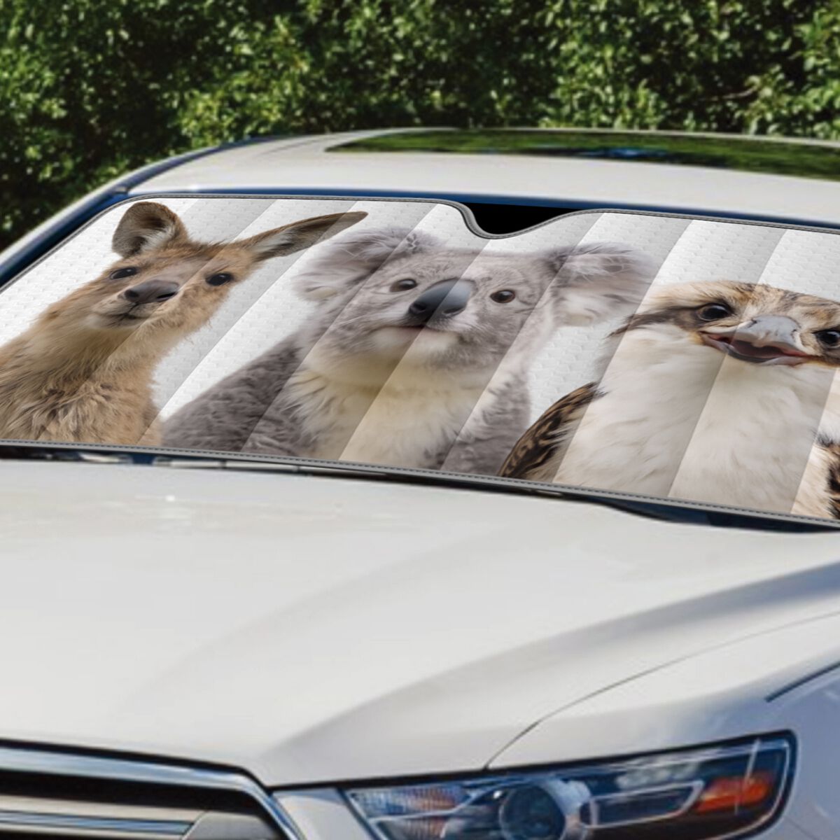 SCA Medium Bubble Sunshade Animals, , scaau_hi-res