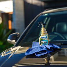 Rain-X Pro Cerami-X Glass Cleaner and Water Repellent 473mL, , scaau_hi-res