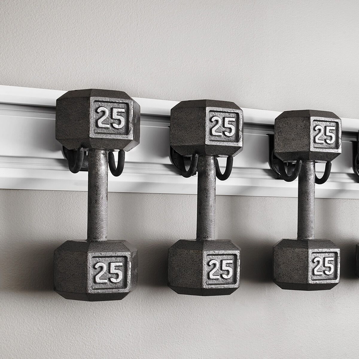 gladiator horizontal bike hook