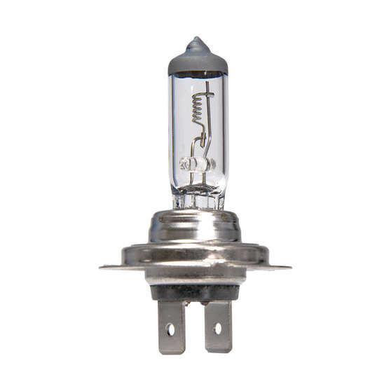 Enduralight Headlight Globe - H7, 24V 70W, ENDH1029, , scaau_hi-res