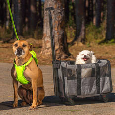 Pet Trolley Case, , scaau_hi-res