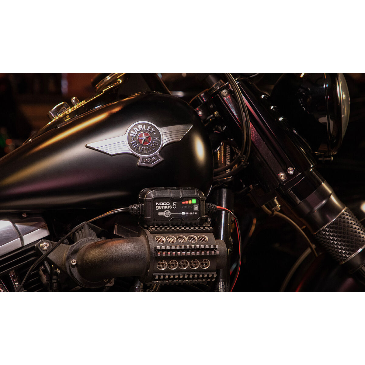 NOCO Genius 5 Battery Charger 6V/12V 5 Amp, , scaau_hi-res