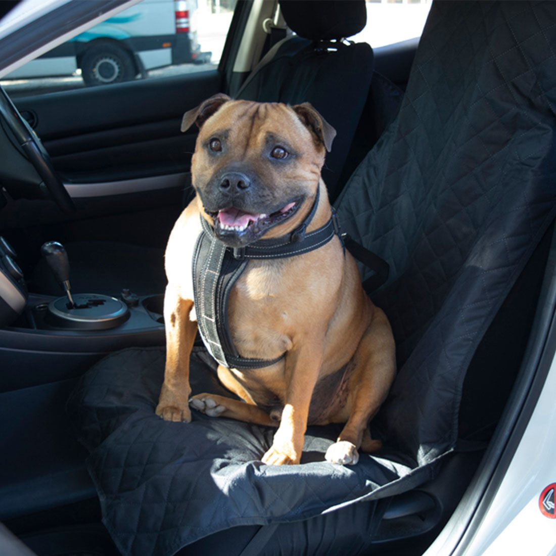 Dog seat belt supercheap auto top