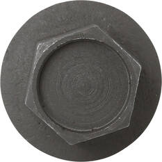 Tridon Oil Drain Plug TDP010, , scaau_hi-res