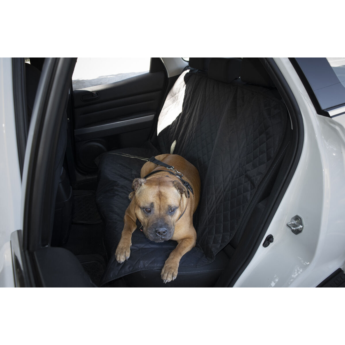 Supercheap dog seat cover cheap