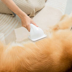 Cabin Crew Pet Grooming Dryer & Vacuum Cleaner, , scaau_hi-res