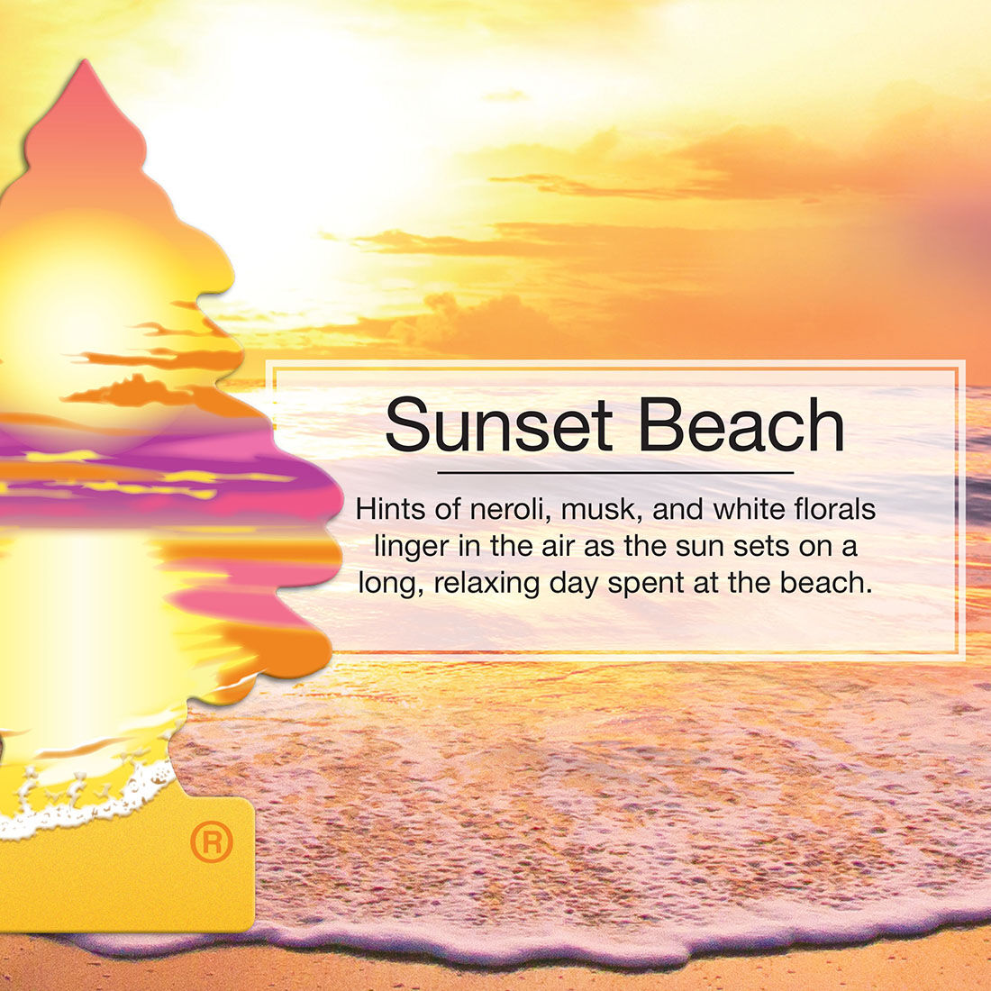 Little Trees Air Freshener - Sunset Beach 1 Pack, , scaau_hi-res