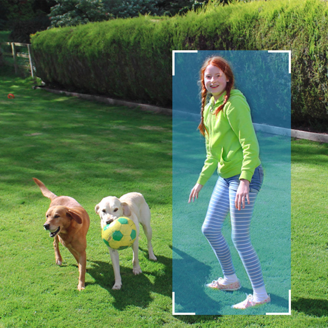 Eufy C210 2K SoloCam Wireless Security Camera System 4 Pack, , scaau_hi-res