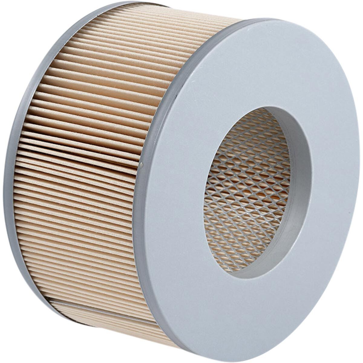 Ryco Air Filter - A1438, , scaau_hi-res