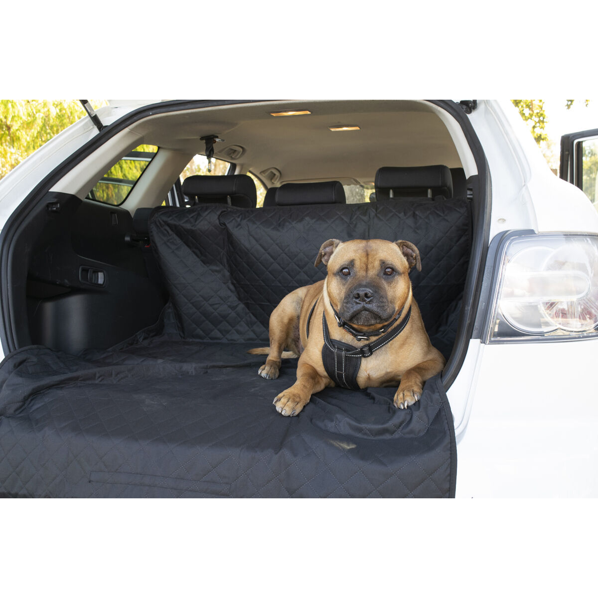 Boot shop liner supercheap