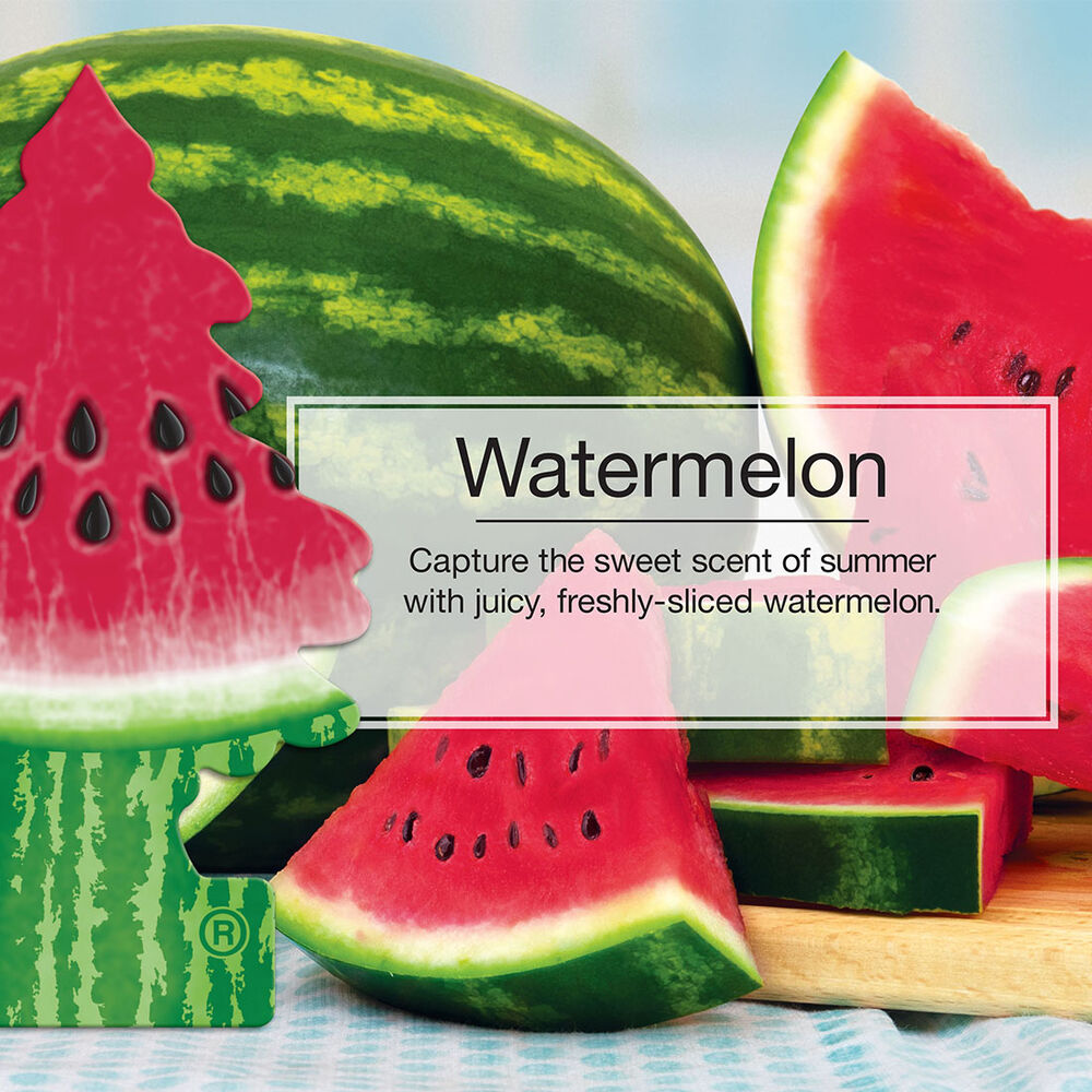 Little Trees Air Freshener Watermelon 1 Pack Supercheap Auto
