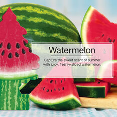 Little Trees Air Freshener - Watermelon 1 Pack, , scaau_hi-res
