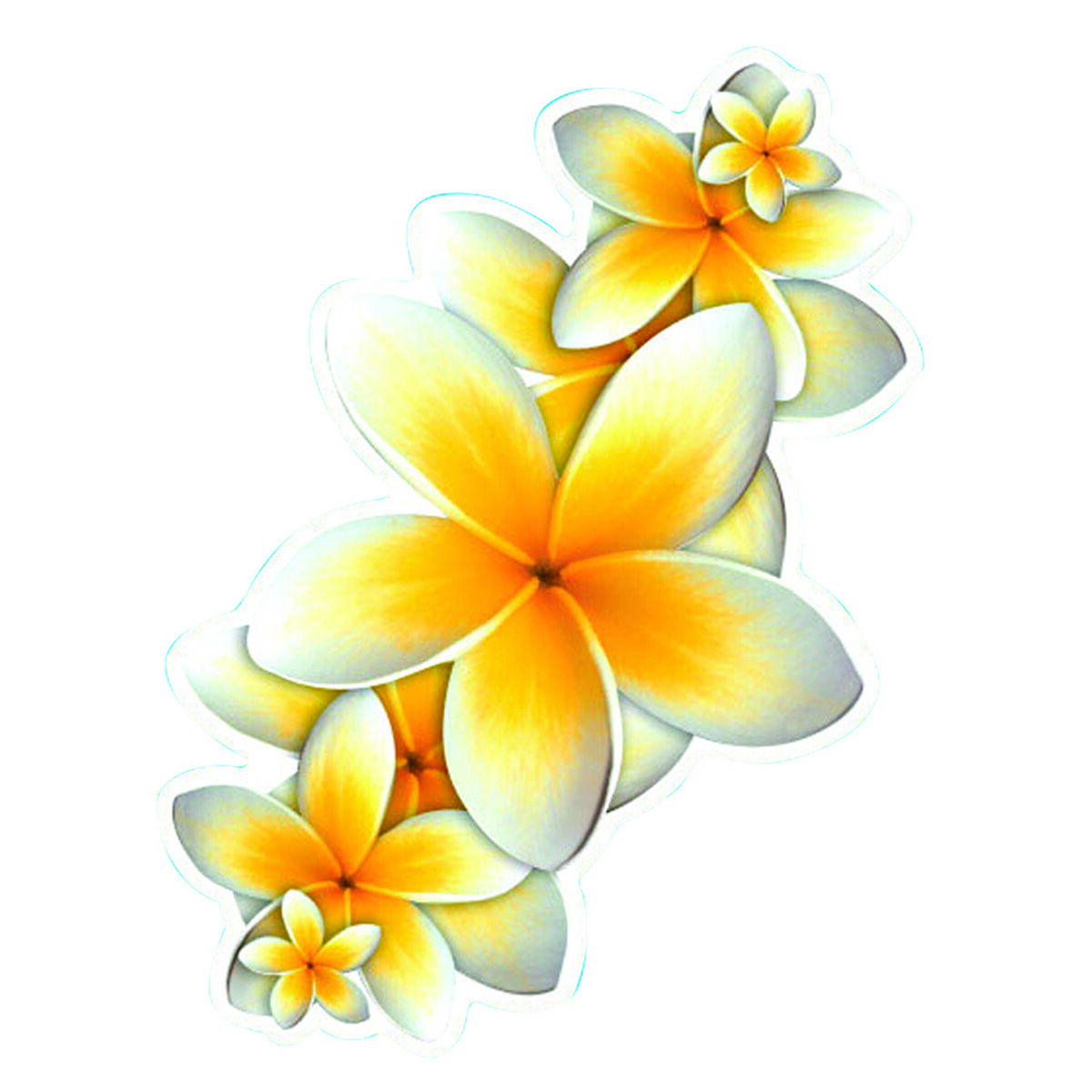 Sticker Frangipani, Vinyl, , scaau_hi-res