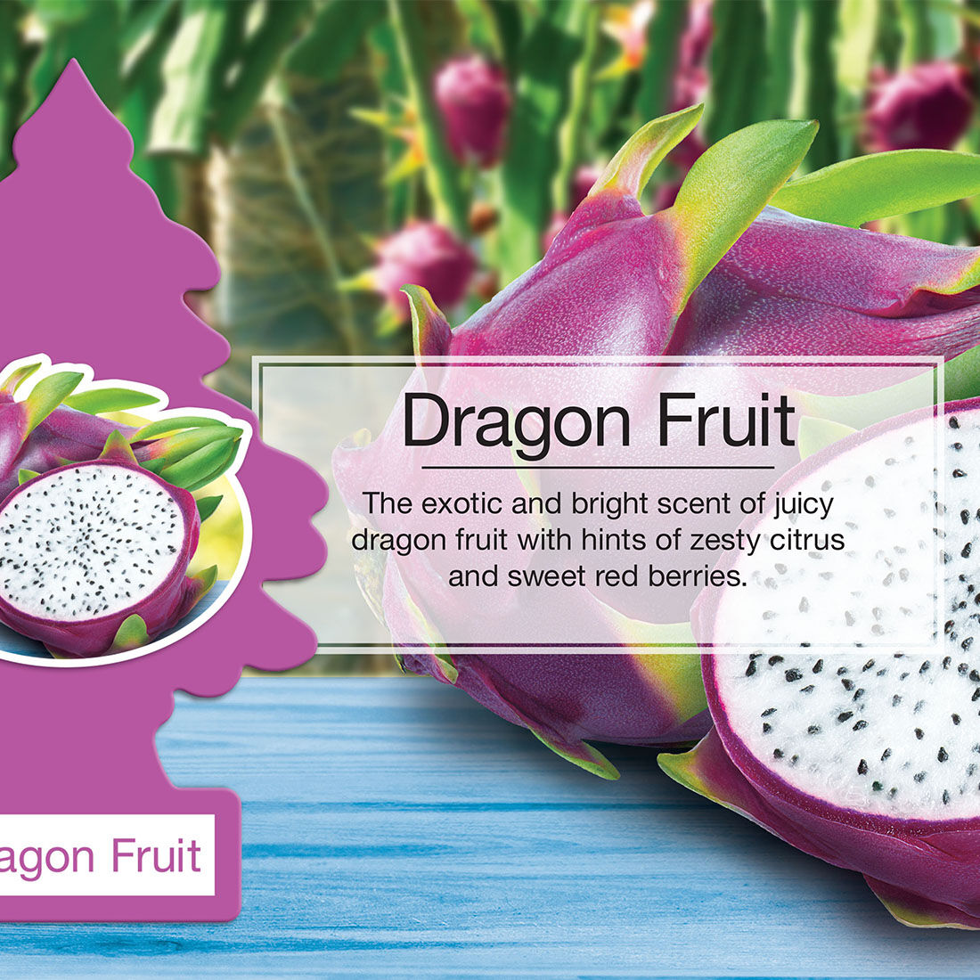 Little Trees Air Freshener - Dragonfruit 1 Pack, , scaau_hi-res