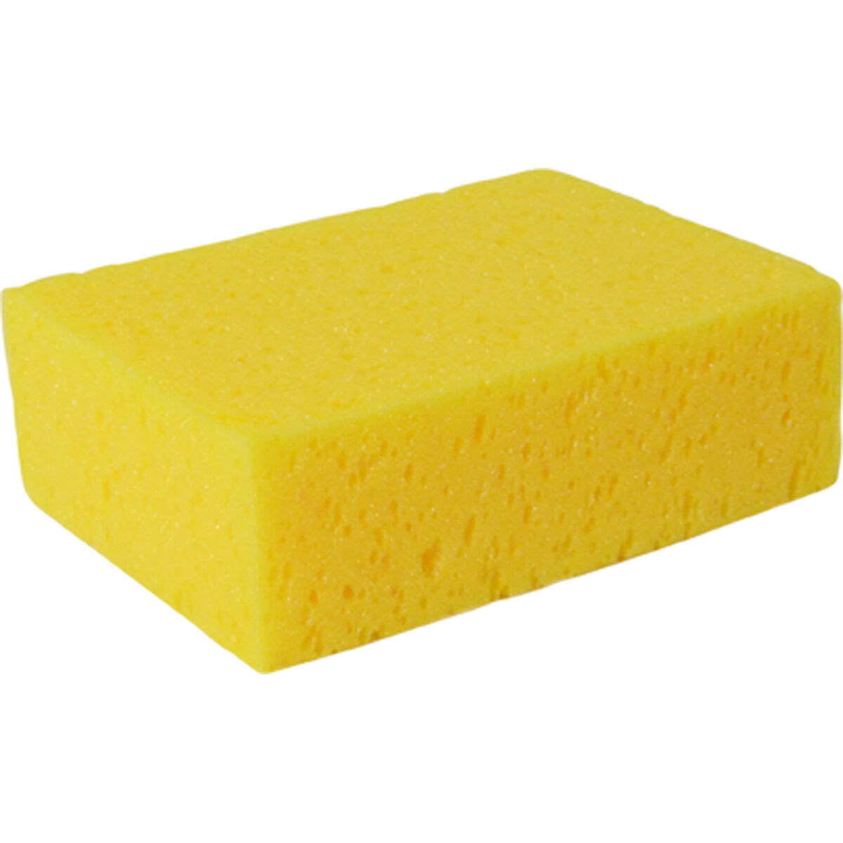 how to wash a sponge