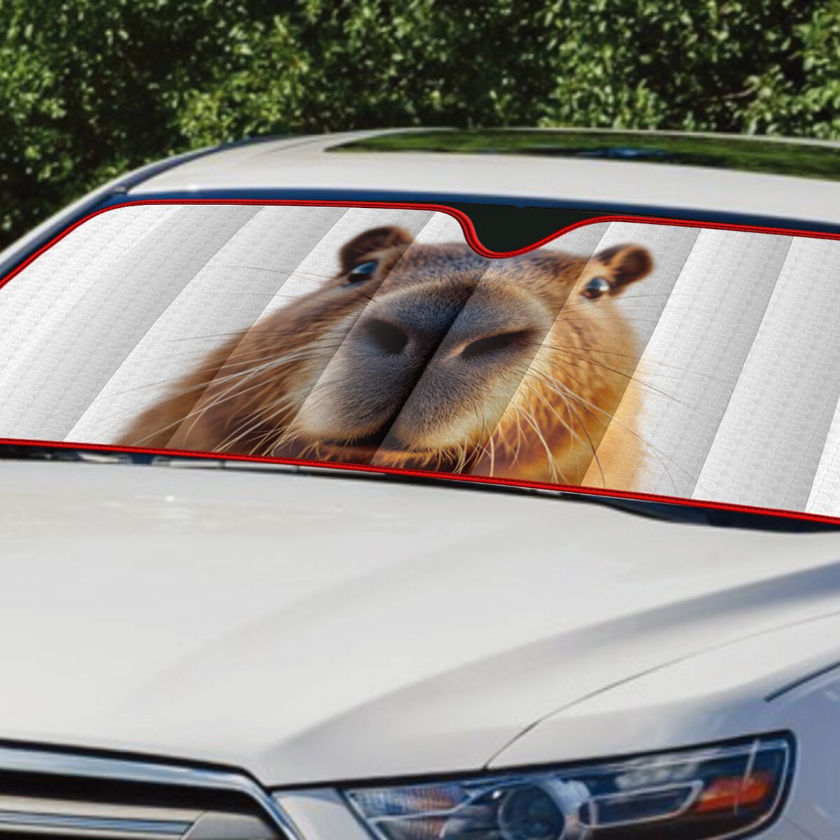 SCA Medium Bubble Front Sunshade Capybara, , scaau_hi-res
