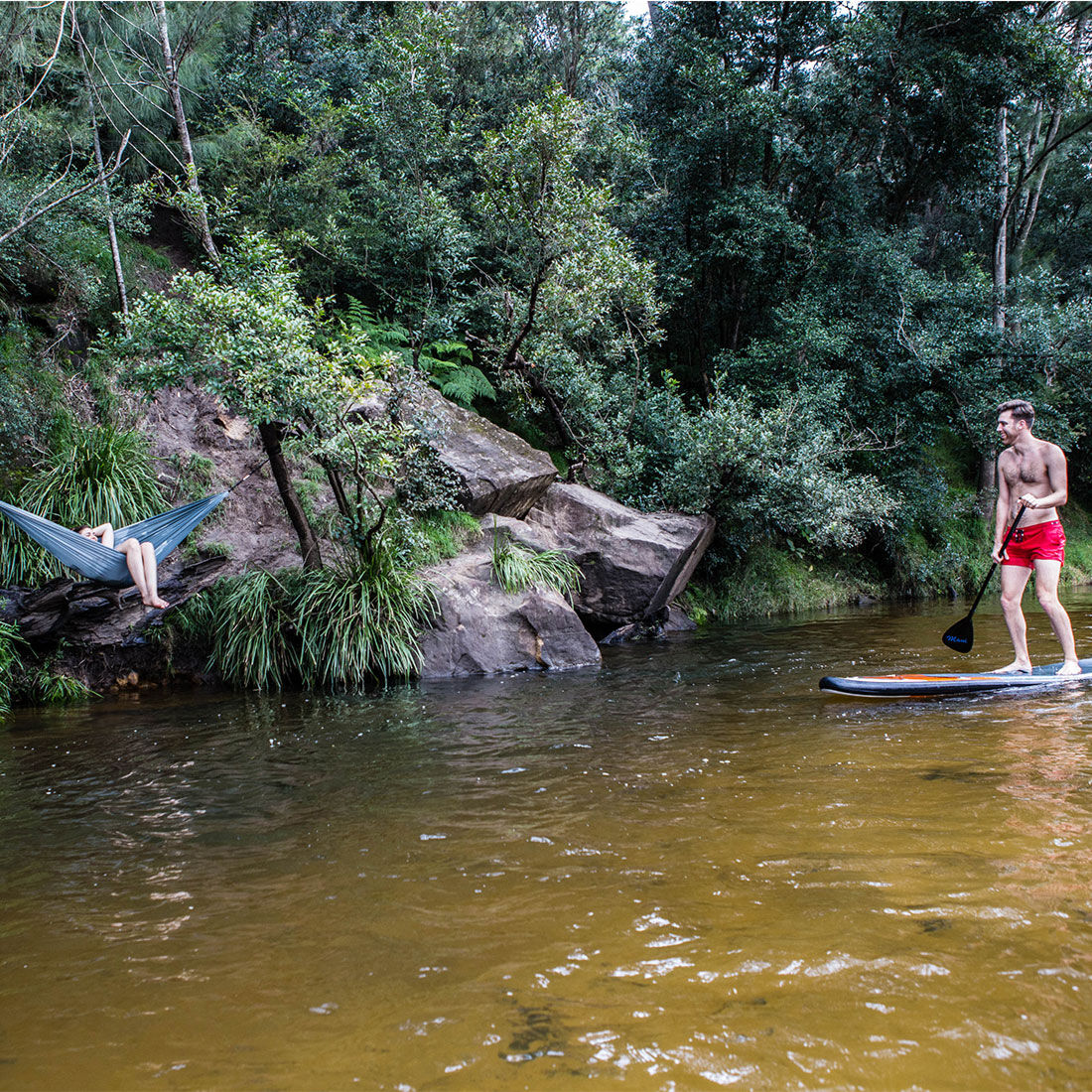 Coleman hammock top