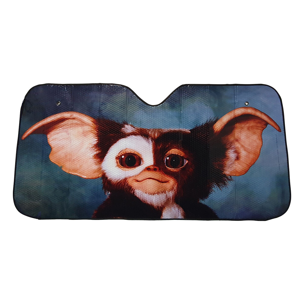 Supercheap auto store sun visor