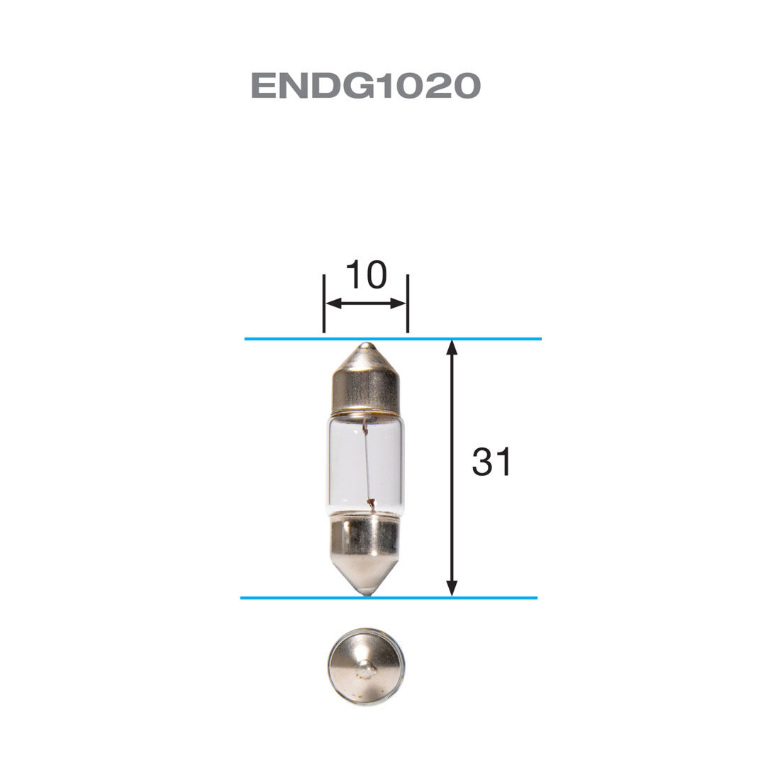 ENDURALIGHT Automotive Globes - Festoon 12V, 10W 10X31mm, , scaau_hi-res