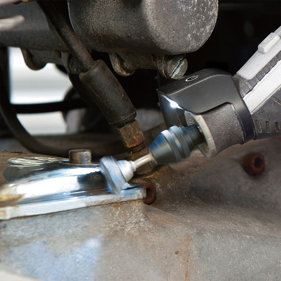 Dremel 2pk Carbon Steel 3.2mm Shank 13mm Dia Brush, , scaau_hi-res