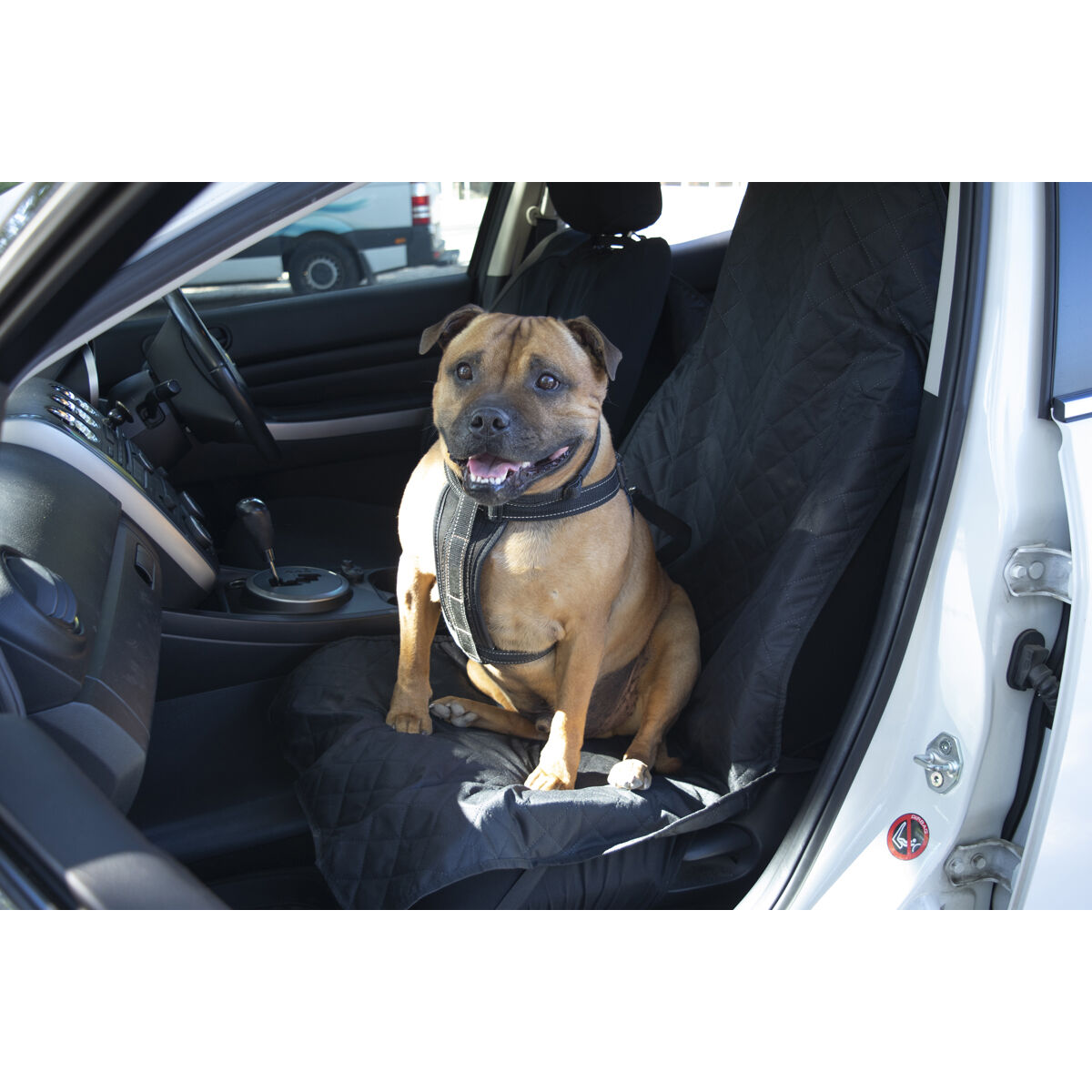 Dog seat sales belt supercheap auto