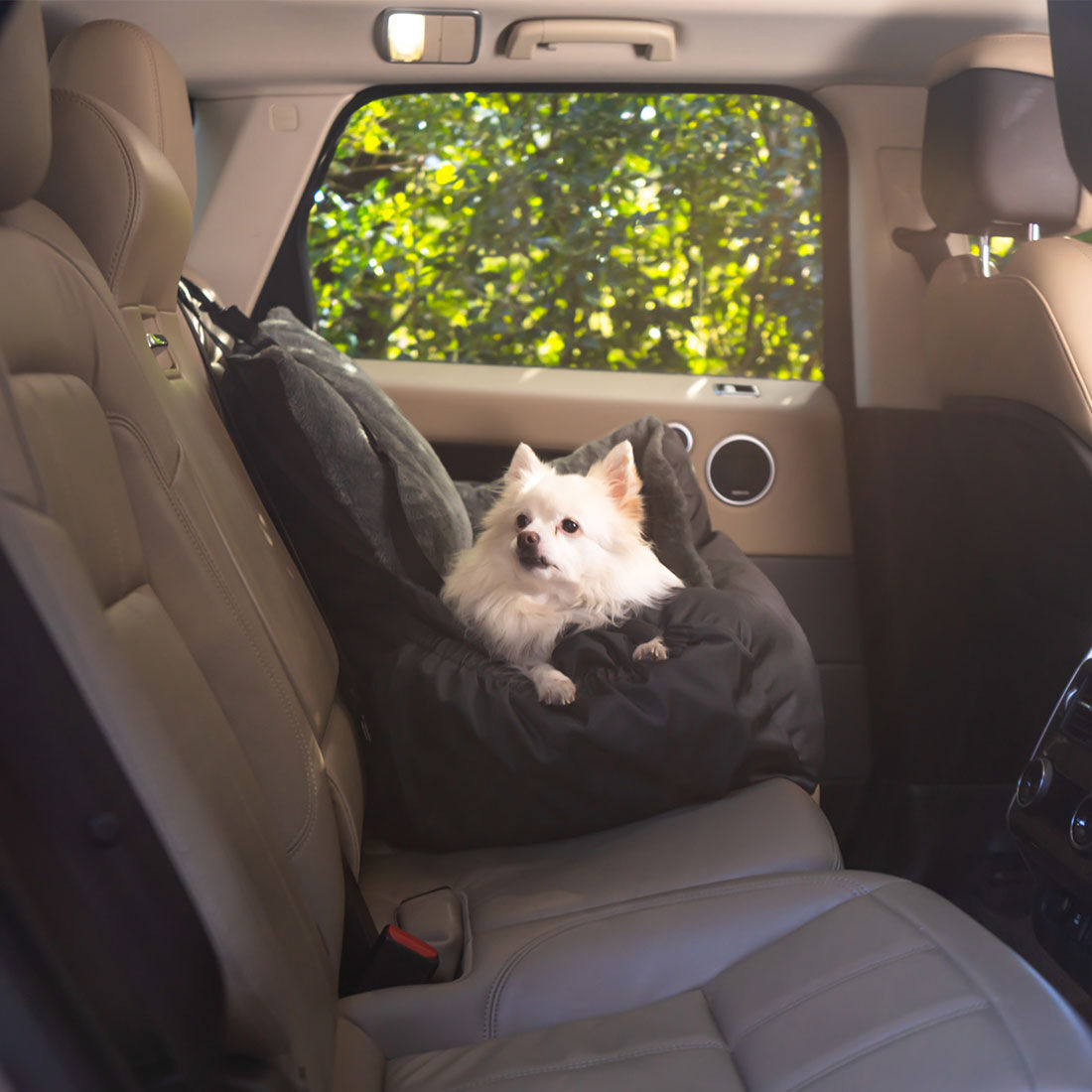 A4pet lookout dog booster car seat store