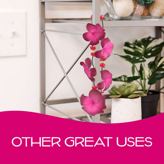 California Scents Novelty Hanging Lei Coronado Cherry Car Air Freshener - 1PK, , scaau_hi-res