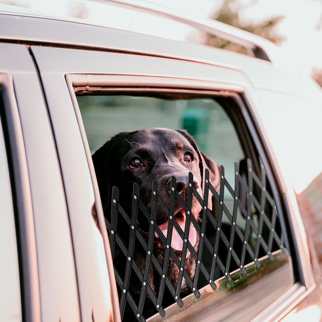 Cabin Crew Pets Window Vent, , scaau_hi-res