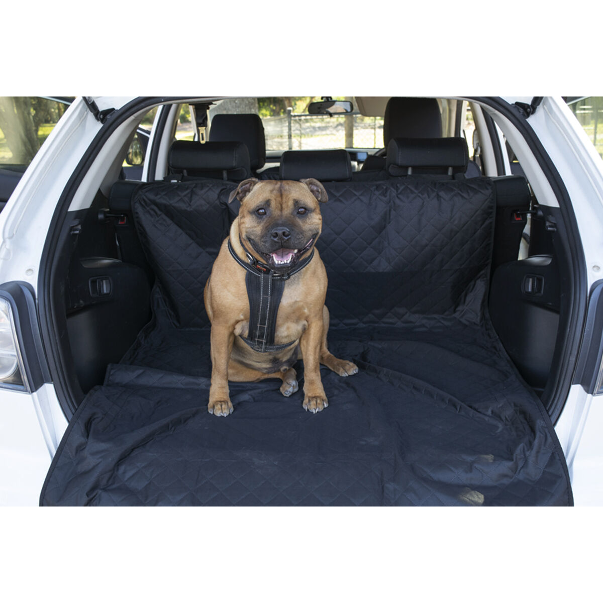 Dog outlet boot cover