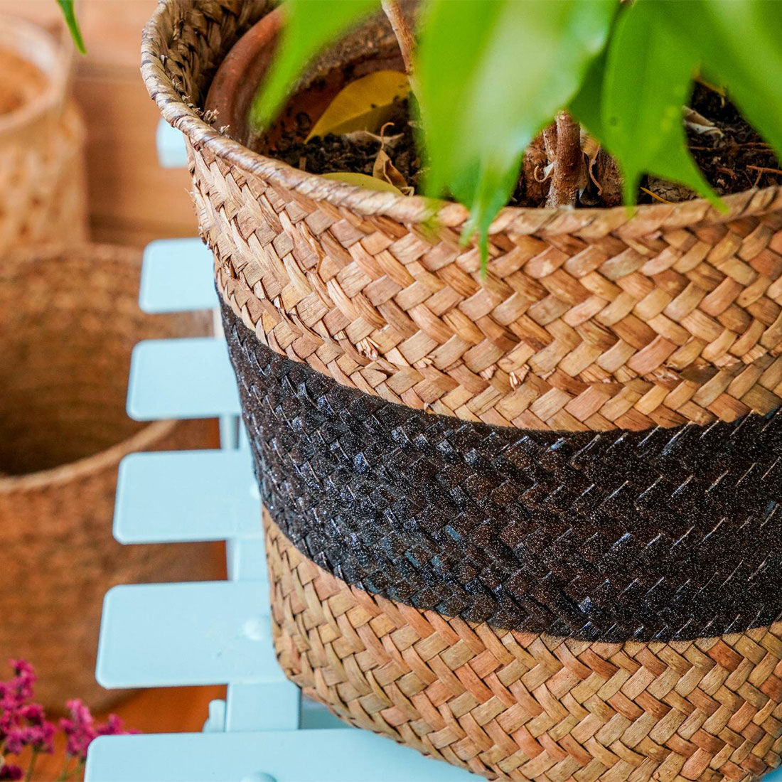 MTN Pro Multicolour Glitter Spray Varnish 400mL, , scaau_hi-res