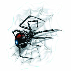 Sticker Spider with Web, Vinyl, , scaau_hi-res