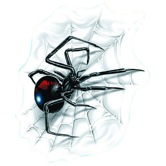 Sticker Spider with Web, Vinyl, , scaau_hi-res