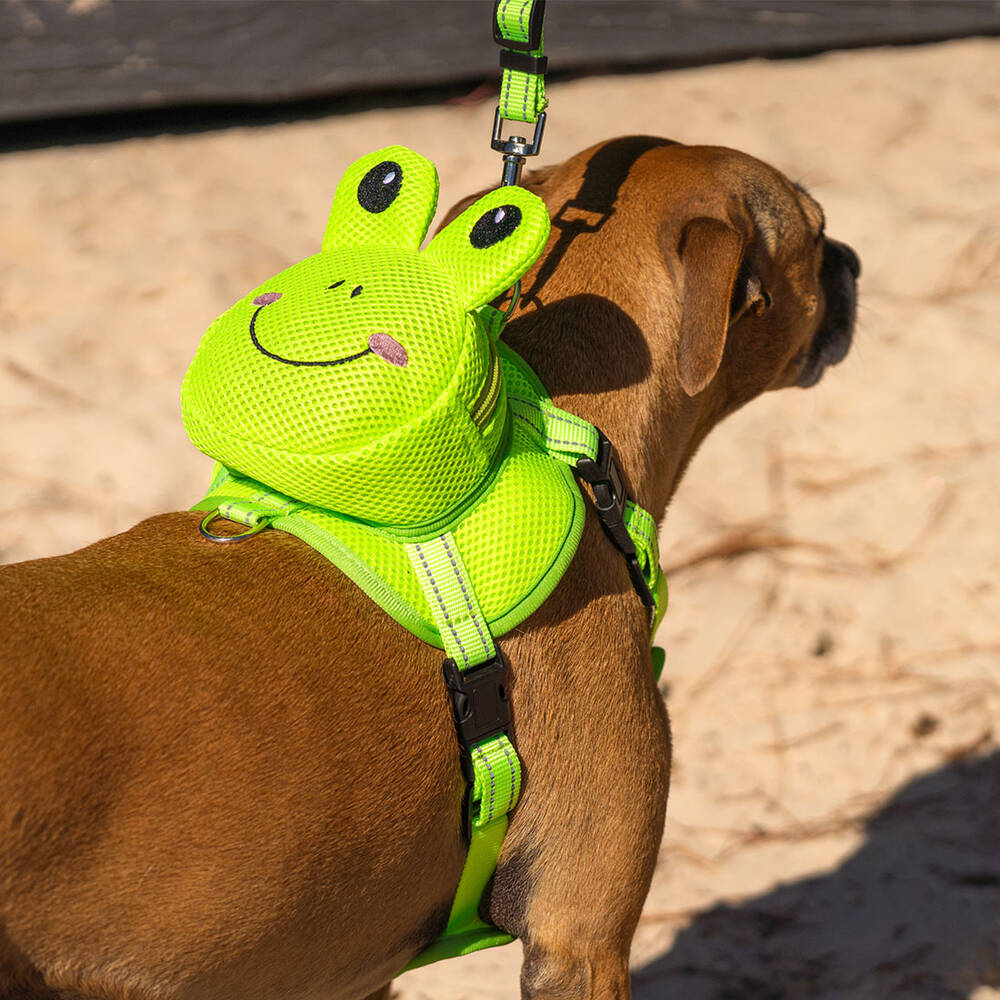 Harness Frog Supercheap Auto - Main Image